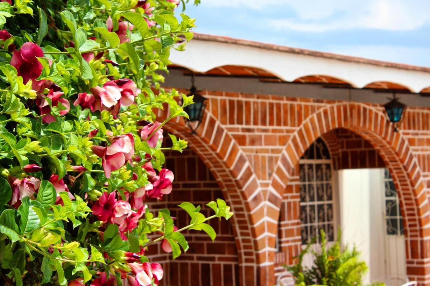 Mama Chuy Hotel & Villas San Juan Cosalá Zewnętrze zdjęcie