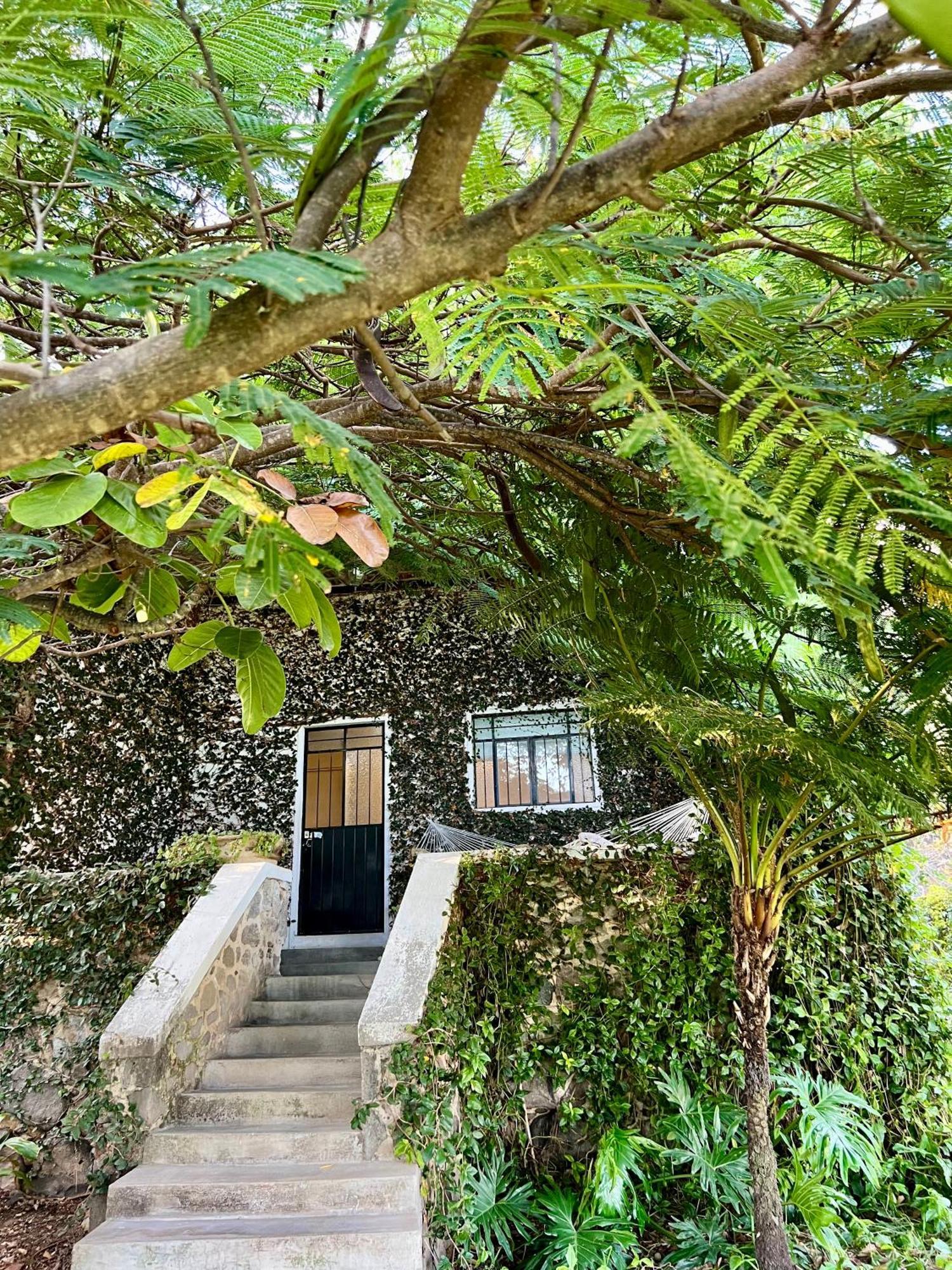 Mama Chuy Hotel & Villas San Juan Cosalá Zewnętrze zdjęcie